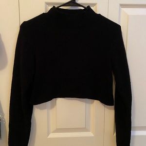Cropped Longsleeve Black Turtleneck Sweater